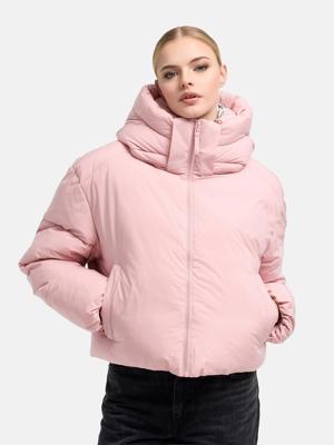 Powder Rose