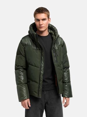 Dark Olive